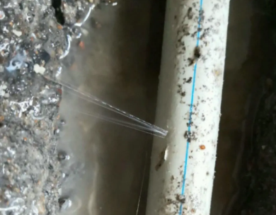 寿宁测漏水哪家好