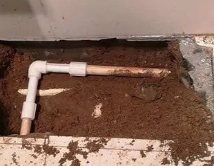 寿宁测漏水哪家好