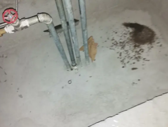 寿宁卫生间测漏水价格明细