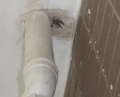 寿宁漏水检测哪家好